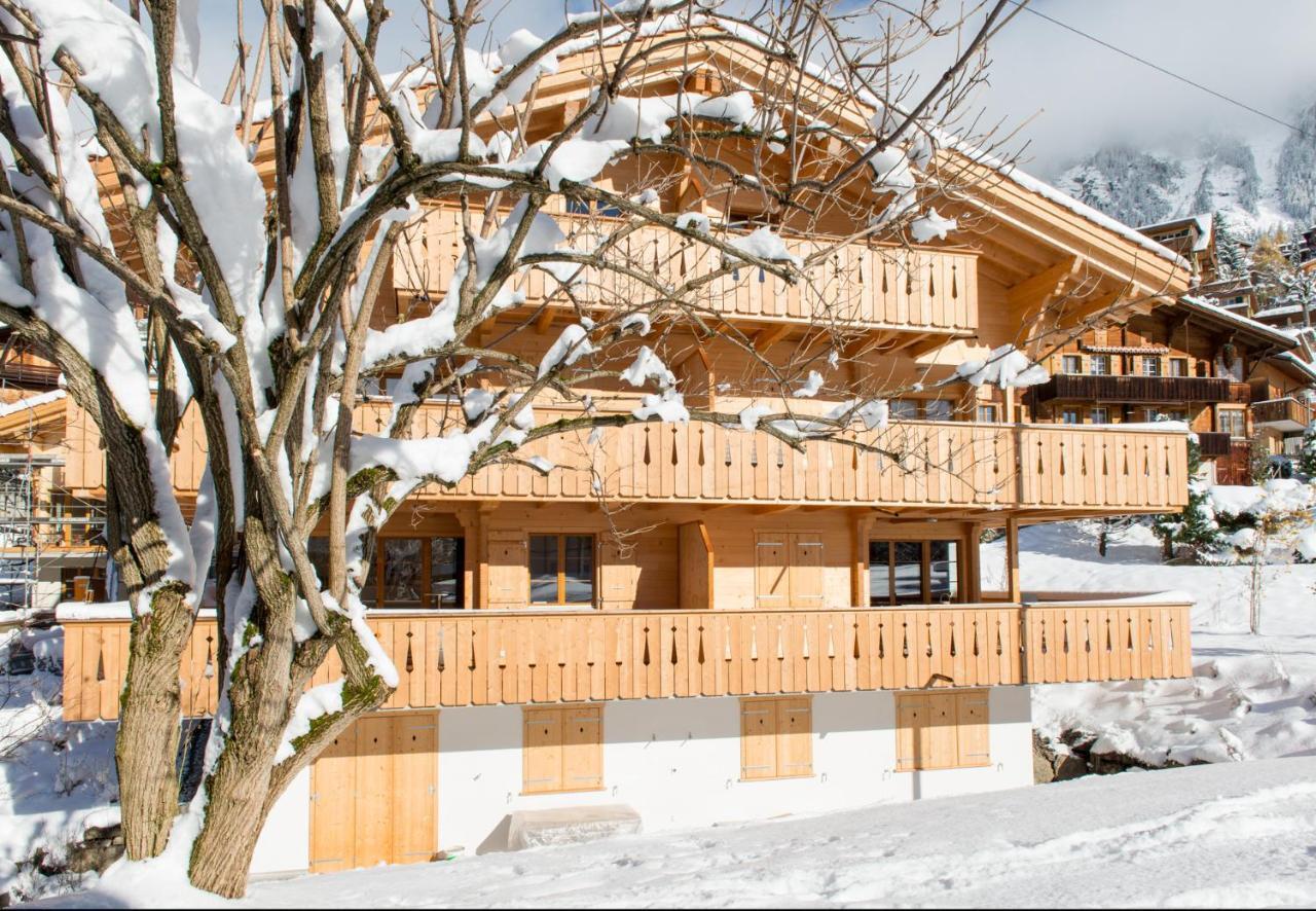 Panoramapark Soleil Chalet C Wengen Exterior photo